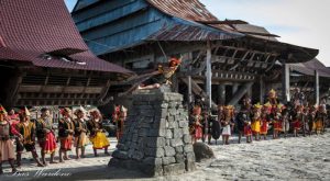 rumah adat nias