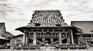 rumah adat nias